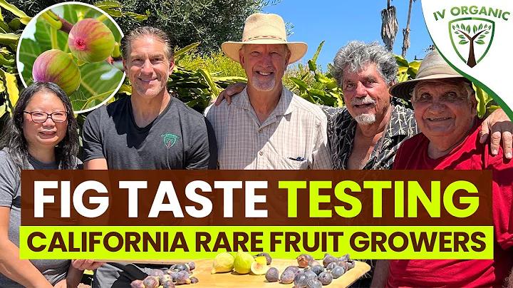 FIG TASTE TESTING | Top Tasting Varieties | feat. CRFG.org - DayDayNews