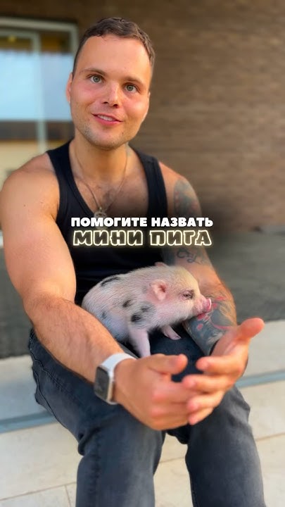 Как назвать свинтуса? Пишите свои варианты в комментариях ⬇️ - YouTube