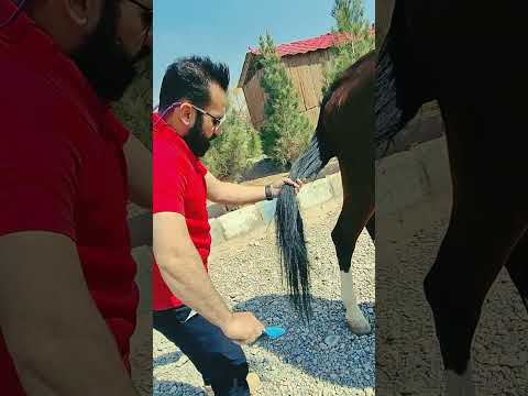 عاشقی یعنی عشق ورزیدن به هرچیزی که حالتو خوب بکنه آرامش بهت بده چه بهتر که جنسش از نجابت باشه