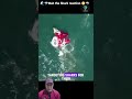 🐋Orca vs Great White Shark 😱 One Strike?!🦈 | My Reaction #shorts