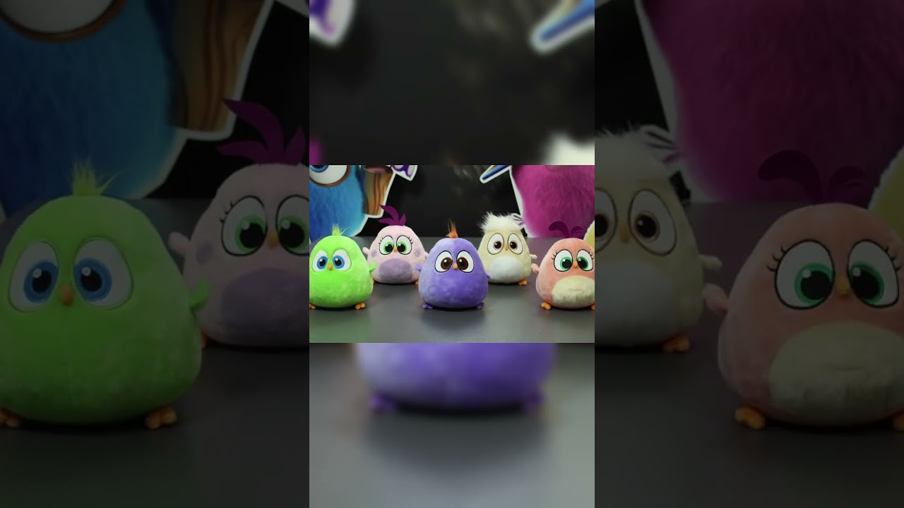 Hatchlings In Perfect Sync 🎵🪩