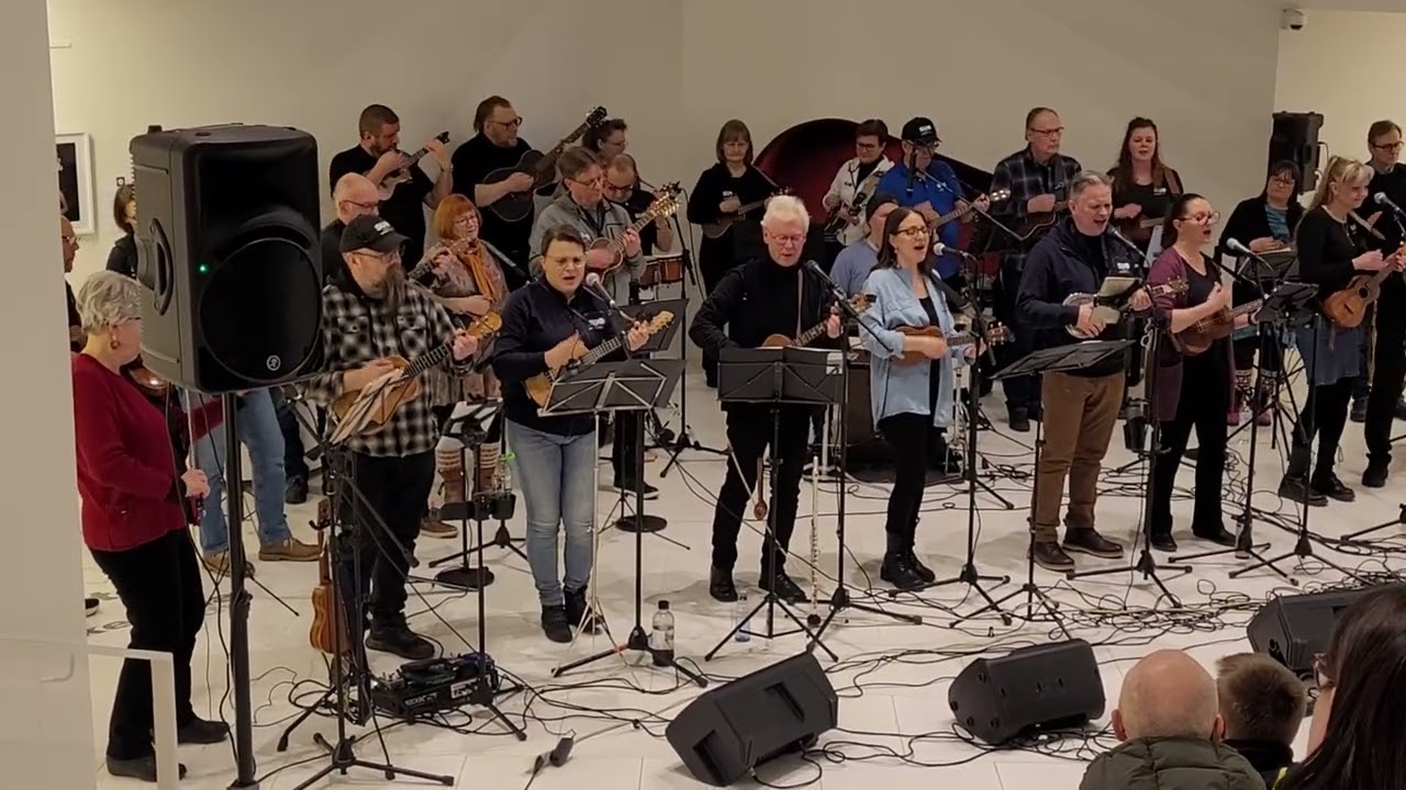 SUO eli Seinäjoen Ukuleleorkesteri - Fairytale @seinajoenukuleleorkesteri_5193 