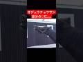 障害界の絶対王者・オジュウチョウサン 自分の〇〇に反応してしまう…… #オジュウチョウサン #ヴェルサイユリゾートファーム #競馬 #shorts