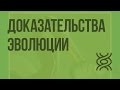 Доказательства эволюции. Видеоурок по биологии 11 класс