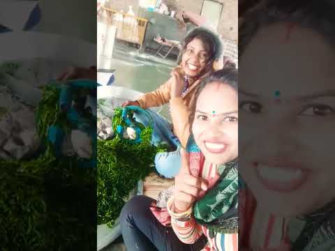 28 दिसंबर 2022 - 28 दिसंबर 2022