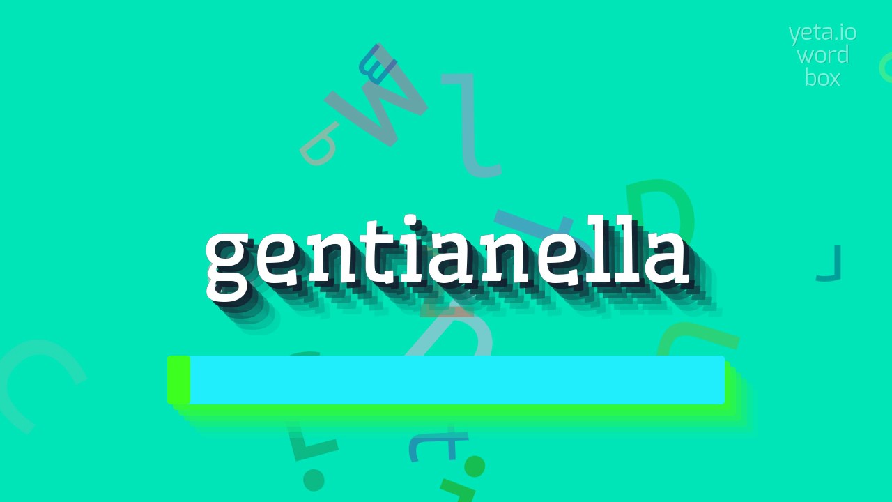КАК СКАЗАТЬ ГЕНТИАНЕЛЛА?  