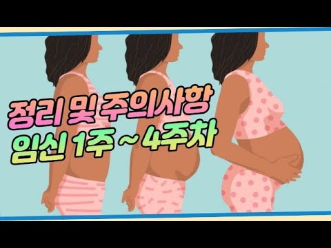 임신 1주 ~ 4주차 정리 및 주의사항