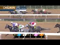 Oaklawn Park Feb 17, 2024 The 46th Running of Dixie Belle Stakes