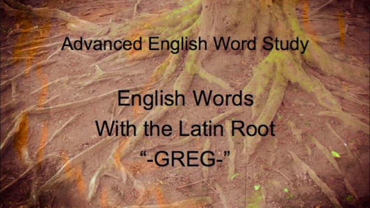 Vocabulary 4 Words From Latin RootGREG YouTube
