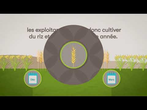 Comment une idée «folle» peut aider à changer le monde ...