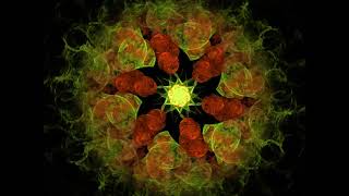Fractal Flowers with JWildfire