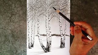 Birch trees landscape drawing with pencil step by step / Drawing for beginners/