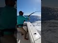 🐟Unexpected Giant Catch! #fishing #videofishing #fishinglife #fypシ゚viral