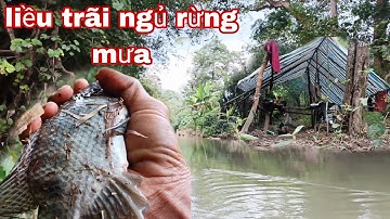 trải nghiệm ngủ rừng mưa, bẫy cá, câu cá, và thức ăn hoang dã khác|phúc làng tv