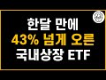 연금계좌에서 한달 동안 43% 오른 국내상장 ETF