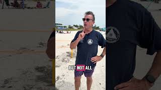 Bertha's Hidden Damage: Florida's Turtle Nests #florida #weather #floridaweather