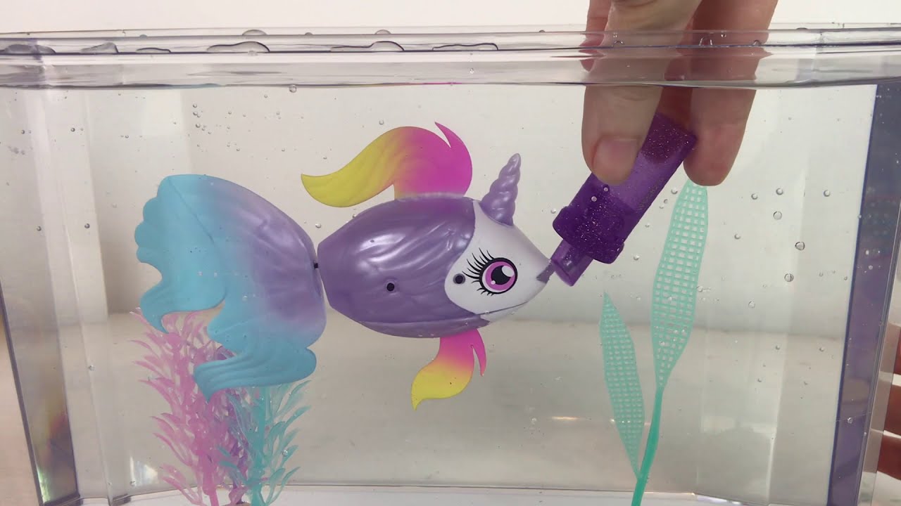 Il mio Primo Acquario con Pesci SPECIALI! Little LIVE PETS - YouTube