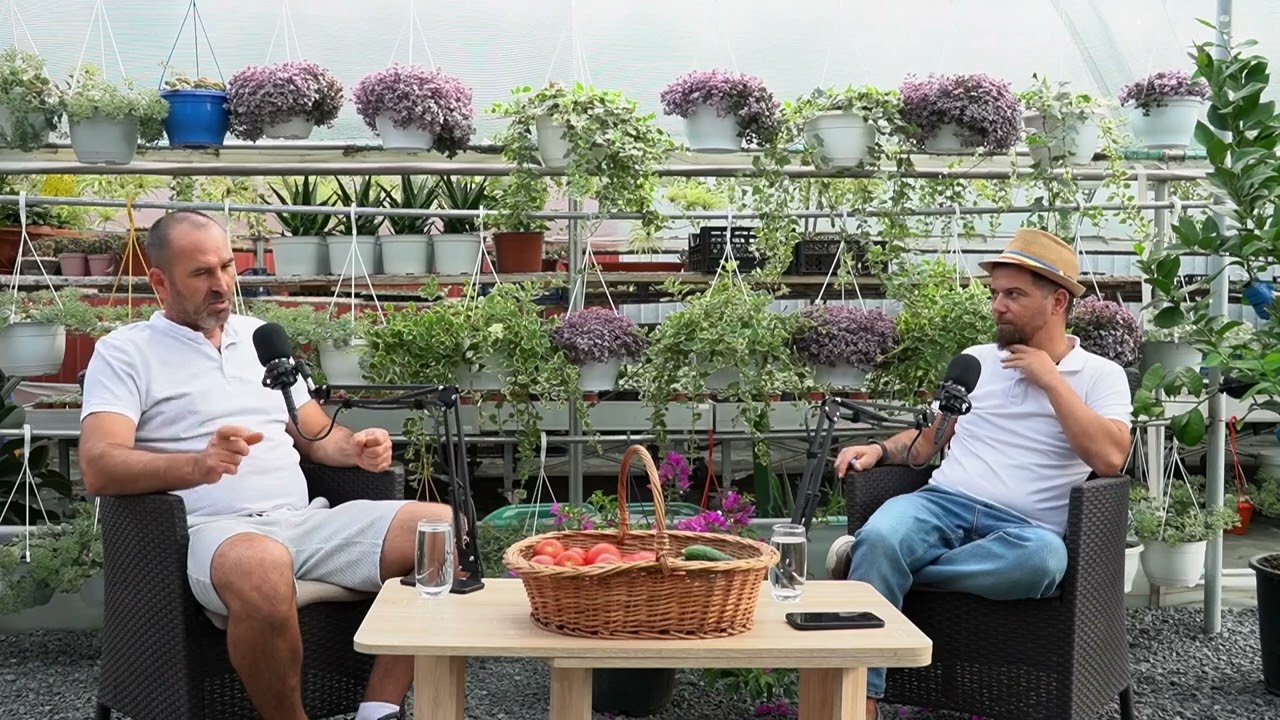 Rosiile de la samanta la fructificare cu @gradinaluidan | Tratamente organice si ingrasaminte