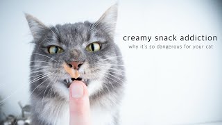 Creamy Snack Addiction | the most dangerous Cat Food! by FurryFritz - Catographer 5,076 views 3 years ago 1 minute, 56 seconds