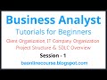 Business Analyst Tutorials for Bebinners | Client Organization | Project Structure | IT Company Org