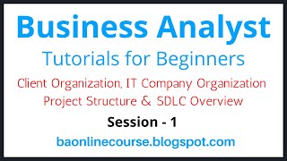 Business Analyst Tutorials for Bebinners | Client Organization | Project Structure | IT Company Org screenshot 4