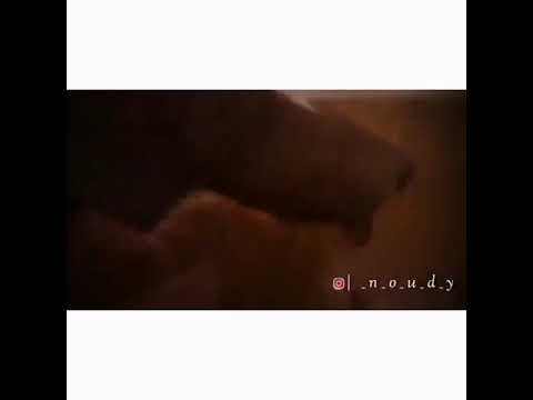 من عذابي هبيع صحابي اصل هما زمان باعوني هاتلي فوديكا وجيفاز