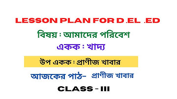 Class three macro Lesson Plan evs | Macro lesson plan | macro lesson plan for d.el.ed