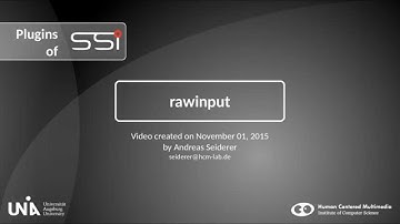 SSI plugins: rawinput