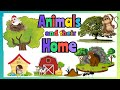 Animals and their homes | Animals home | Home of animals | Animal homes | Animal Shelter for kids |