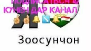 картинка: ХАЛИМ ЁРОВ