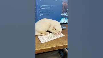 Preview all themes (new feature!) 🤹