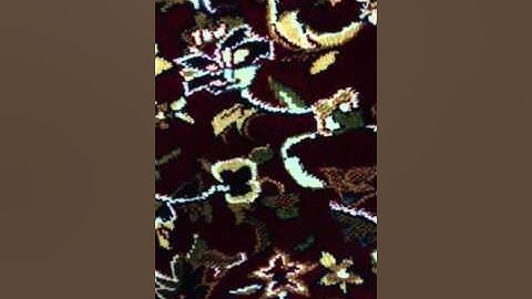 يونس الحصين سورة الحشر