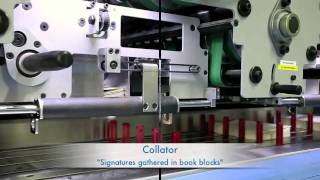 HP T350 Rotolito Lombarda, versione inglese