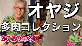 【多肉植物】オヤジの秘蔵・多肉コレクションを公開！パート4/オヤジがまた枯らす！？