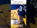 Cats 4.20 happy times 🤣🐈
