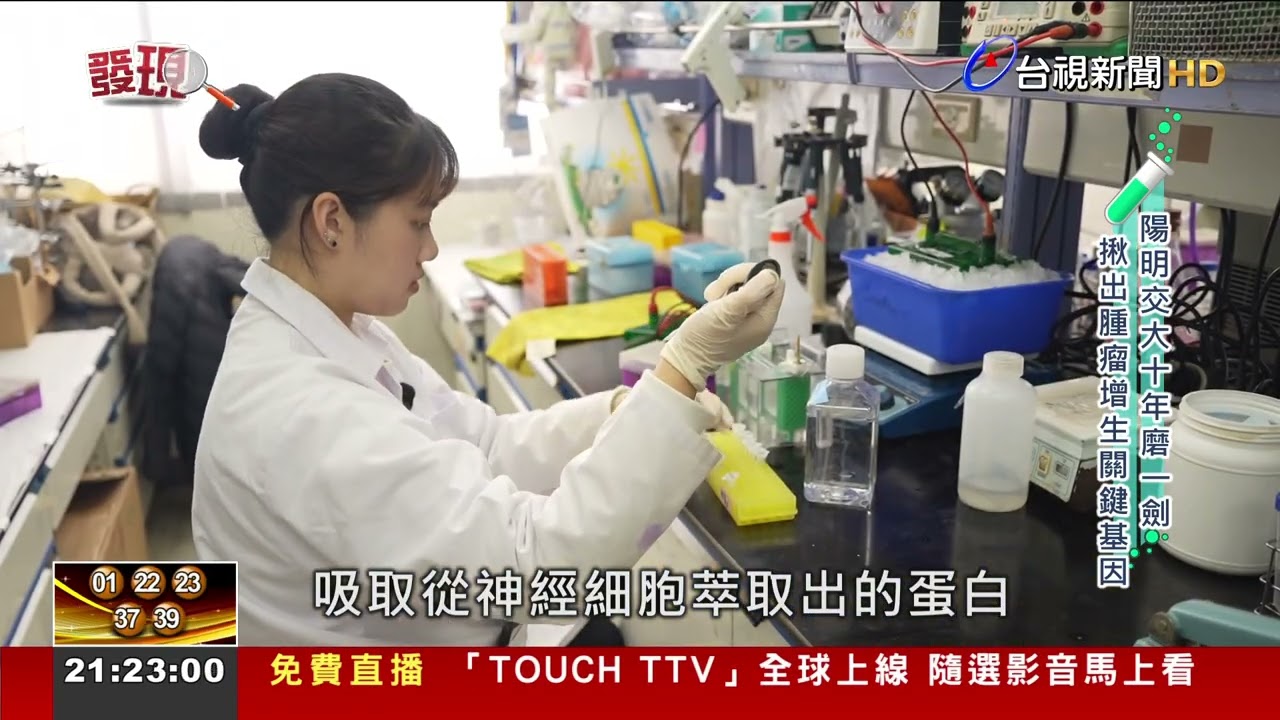 陽明交大十年磨一劍 揪出腫瘤增生關鍵基因