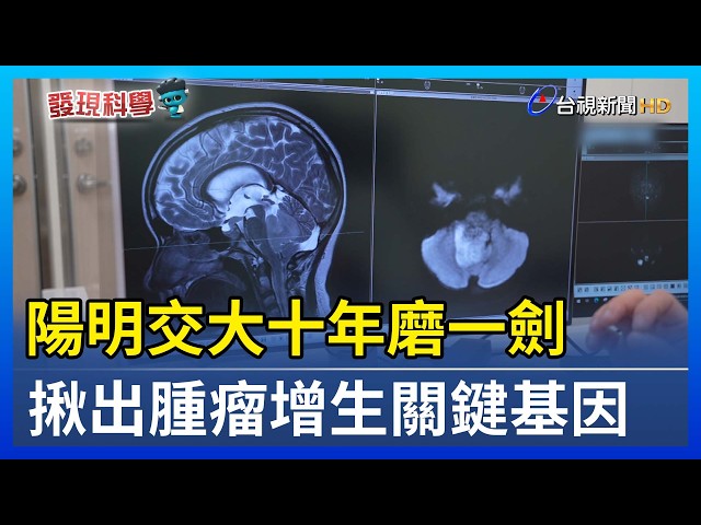 陽明交大十年磨一劍 揪出腫瘤增生關鍵基因【發現科學】