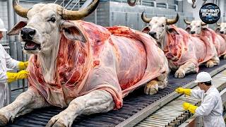 Inside The Giant Cow Horn Factory How Luxury Products Are Made Full Process