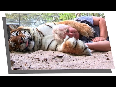 Video: Animali Domestici Insoliti E Caratteristiche Del Loro Mantenimento