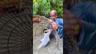 Wow! Amazing Polo Fishing Videos ! Best Big Fish Catching🐟Primitive fishing #fish #shorts #india