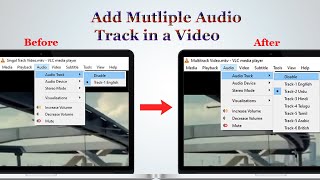 How to make a multi track video | Make dual audio movies/videos | add multiple audio tracks in video