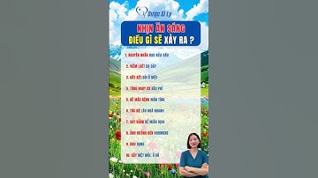 Nhịn ăn sáng điều gì sẽ xảy ra #duocsily #dsly #chamsocsuckhoe