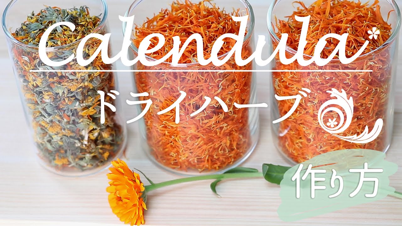 自家製カレンデュラドライハーブの作り方/Calendula flowers dried herb | 手作り石鹸と手作り化粧品の材料