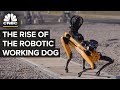 Where Four-Legged Robot Dogs Are Finding Work