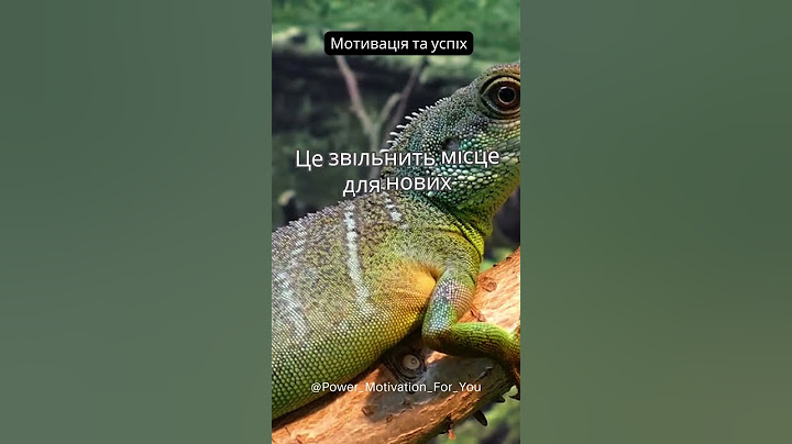 Дійте зараз, щоб не шкодувати потім! ⏳