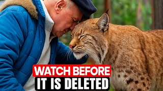 Hunter encontra BOBCAT IMPLORANDO POR AJUDA na Columbia Britanica O que ele fez 