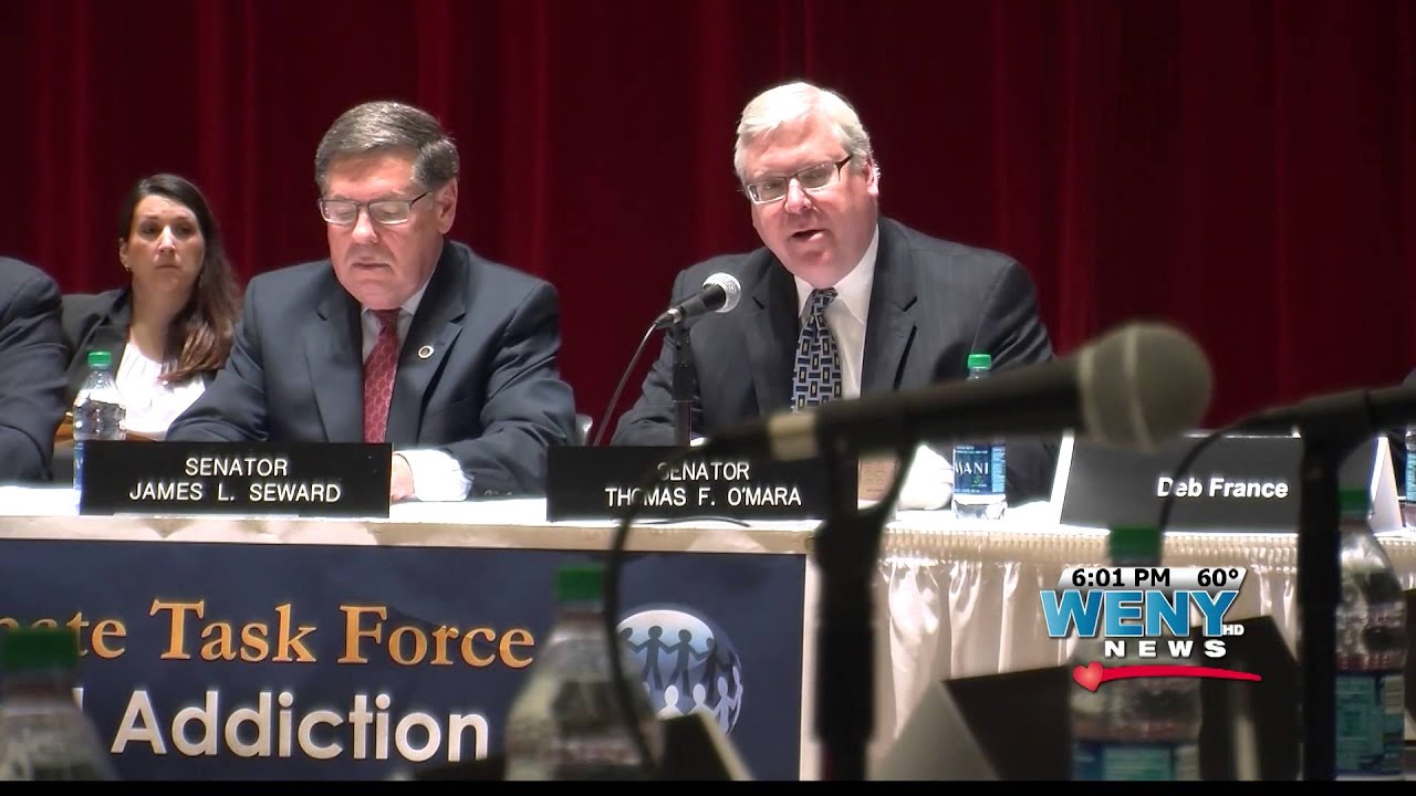 Senate Task Force on Heroin & Opioid Addiction Meets in So Tier - YouTube