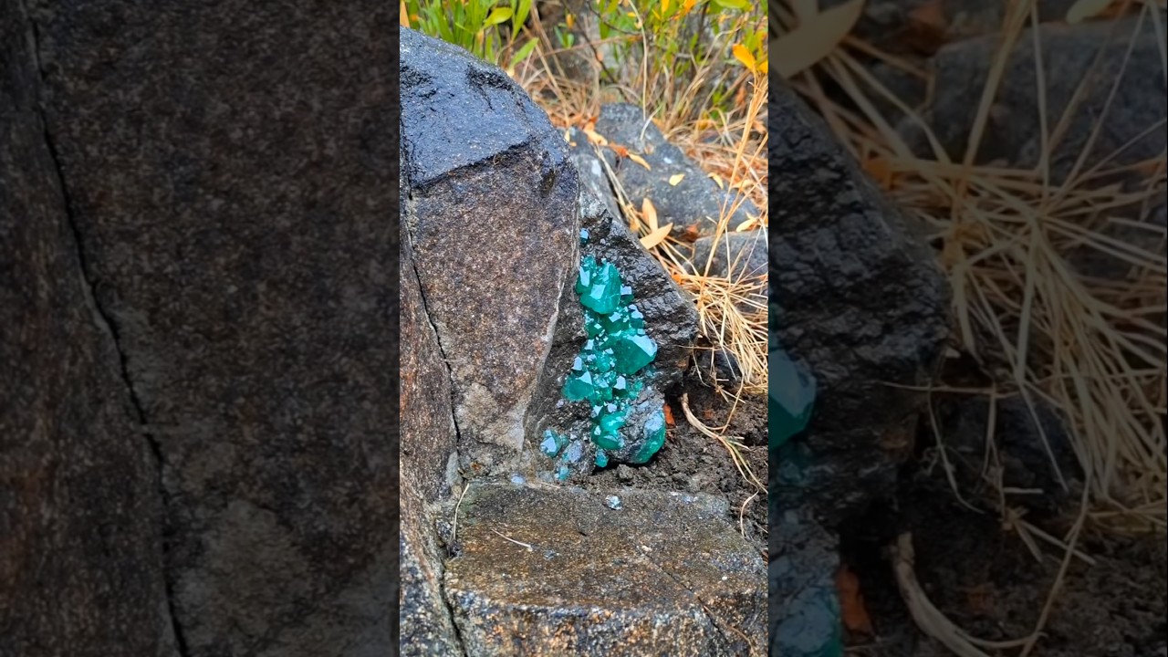 first day 2026 wonderful day 