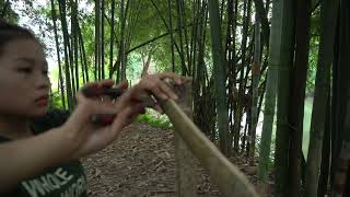 Full Video: Solo bushcraft in 30 days, complete the cabin construction