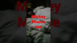 mickey Mouse exe